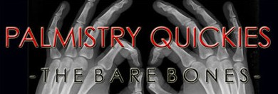 Palmistry Quickies by Alan Strydom