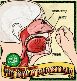 Nail in Nose by Human Blockhead