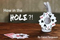 How in the Hole?! by Caius Ferguson (Instant Download)