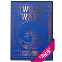 John Bannon – Wild Wave (Blackpool 2023)
