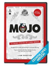 Mojo eBook by Liam Montier