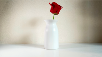 Snowflake Vase by Leon and Leno (Gimmick Not Included)