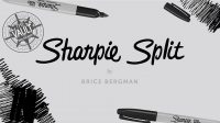 The Vault – Sharpie Split by Brice Bergman
