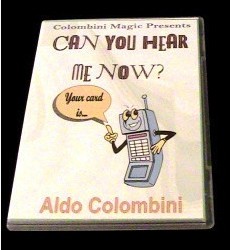 CAN YOU HEAR ME NOW by Aldo Colombini