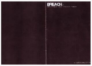 Breach by Daniel Madison