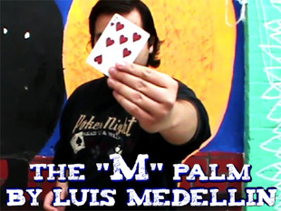 The M Palm by Luis Medellin