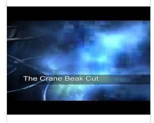 The Crane Beak Cut by Owen Packard