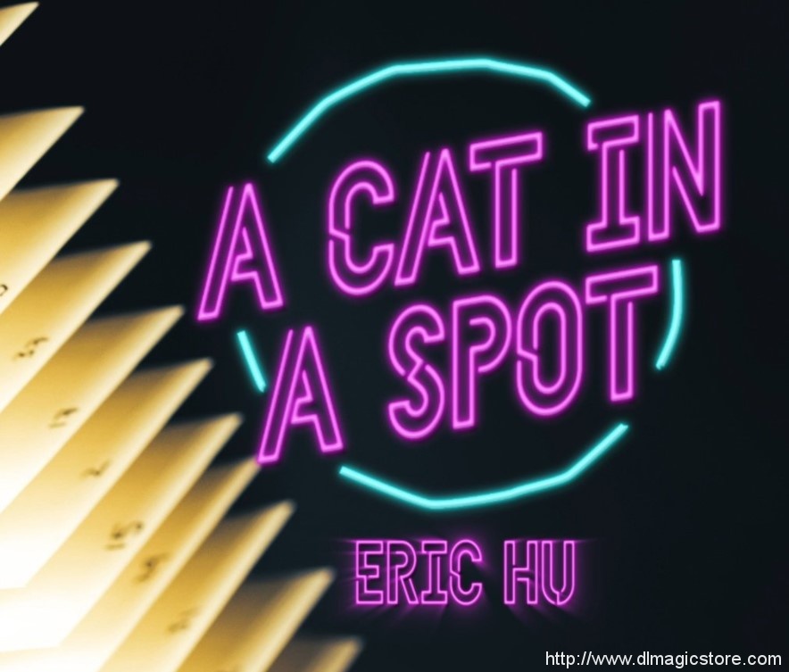 A Cat in a Spot by Eric Hu