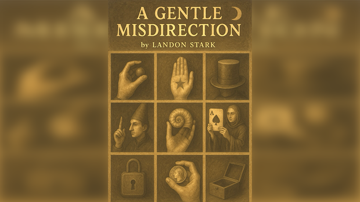 A Gentle Misdirection by Landon Stark