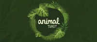 Animal Tarot by The Other Brothers (Instructions Only)