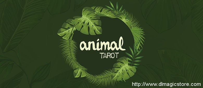 Animal Tarot by The Other Brothers (Instructions Only)