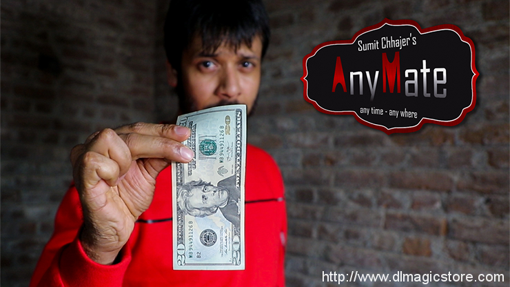 AnyMate by Sumit Chhajer