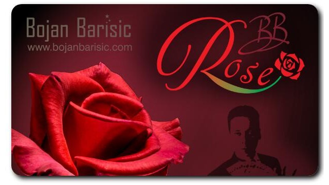 BB Rose by Bojan Barisic