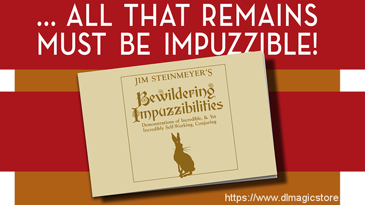 Bewildering Impuzzibilities by Jim Steinmeyer