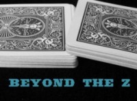 Beyond the Z by Steve Reynold