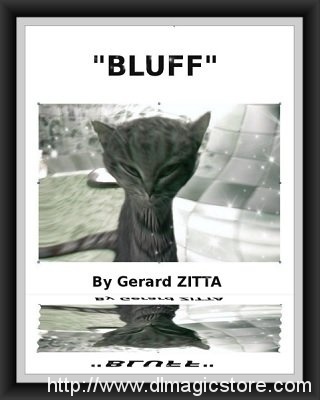 Bluff by Gerard Zitta