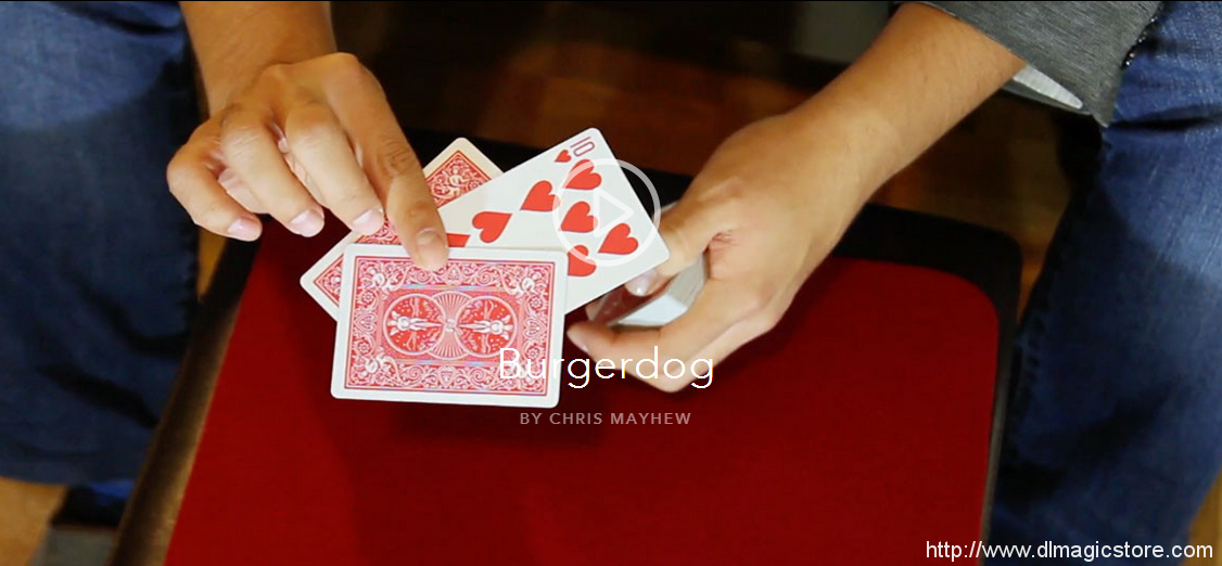 Burgerdog by Chris Mayhew