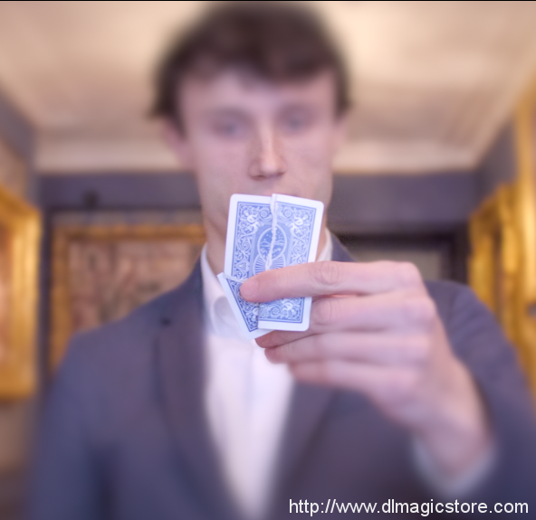 Butterfly Torn By Yvan Garmy (Instant Download)