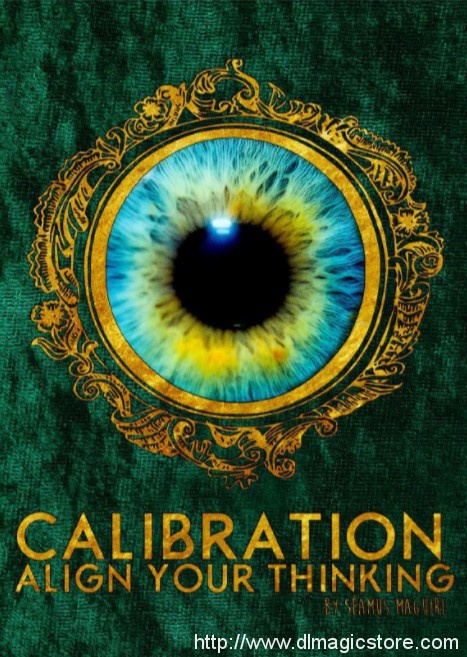 Calibration by Seamus Maguire