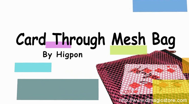 Card Through Mesh Bag by Higpon