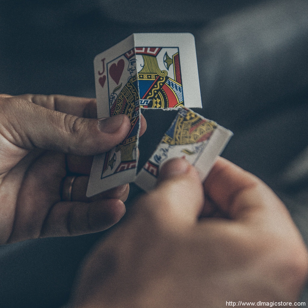 Counterfeit by Wayne Houchin