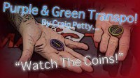 Craig Petty – Purple & Green Transpo (Netrix)