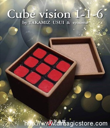 Cube Vision 1-1-6 by Takamiz Usui and Syouma