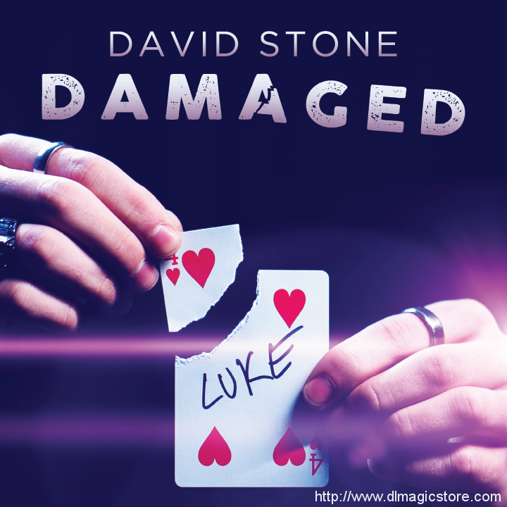 Damaged by David Stone (Instant Download)