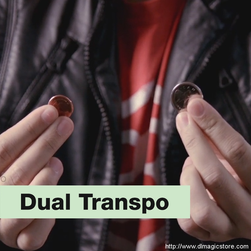 Dual Transpo by SansMinds