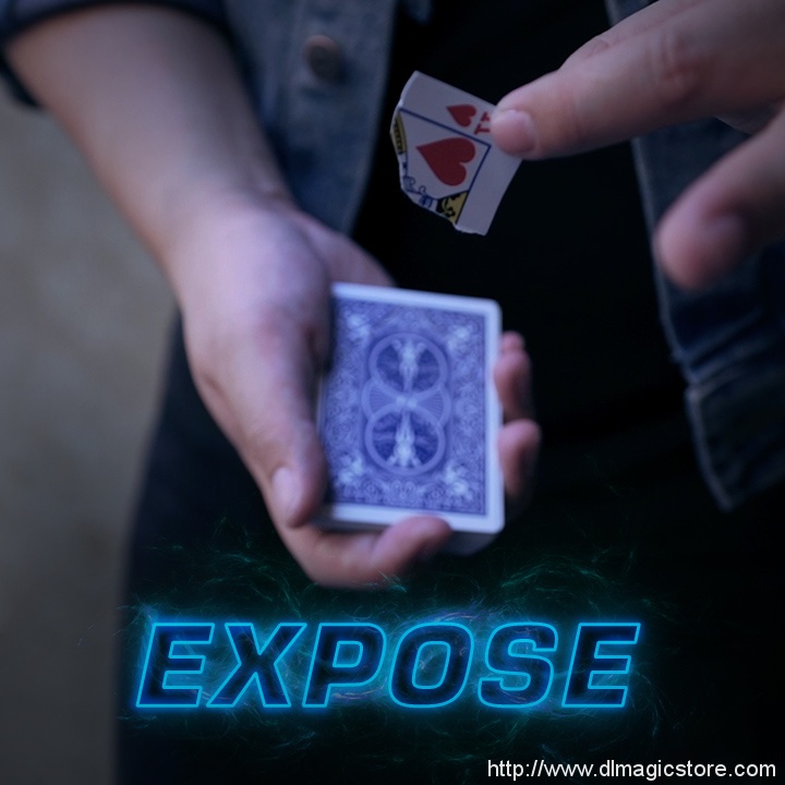 Expose by SansMinds Creative Lab