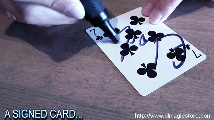 FLASHBACK by Mickael Chatelain