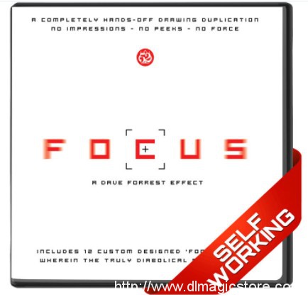 Focus by Dave Forrest