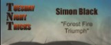 Forest Fire Triumph by Simon Black
