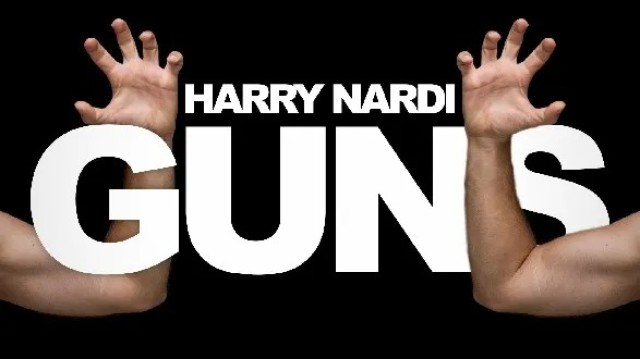 GUNS by Harry Nardi
