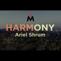 HARMONY by Ariel Shrum (Instant Download)
