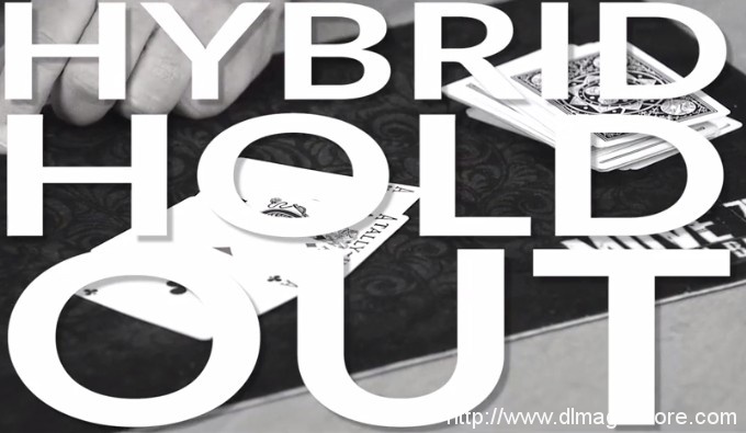 Hybrid Holdout by John Bannon