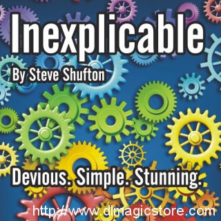 Inexplicable by Steve Shufton