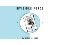 Invisible Force by Gidon Sagher eBook DOWNLOAD