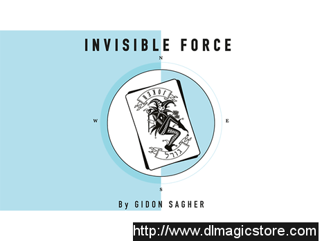 Invisible Force by Gidon Sagher eBook DOWNLOAD