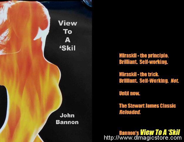 View To A Skill by John Bannon