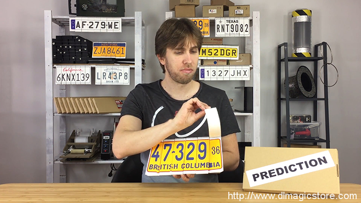 LICENSE PLATE PREDICTION by Martin Andersen (Gimmick Not Included)