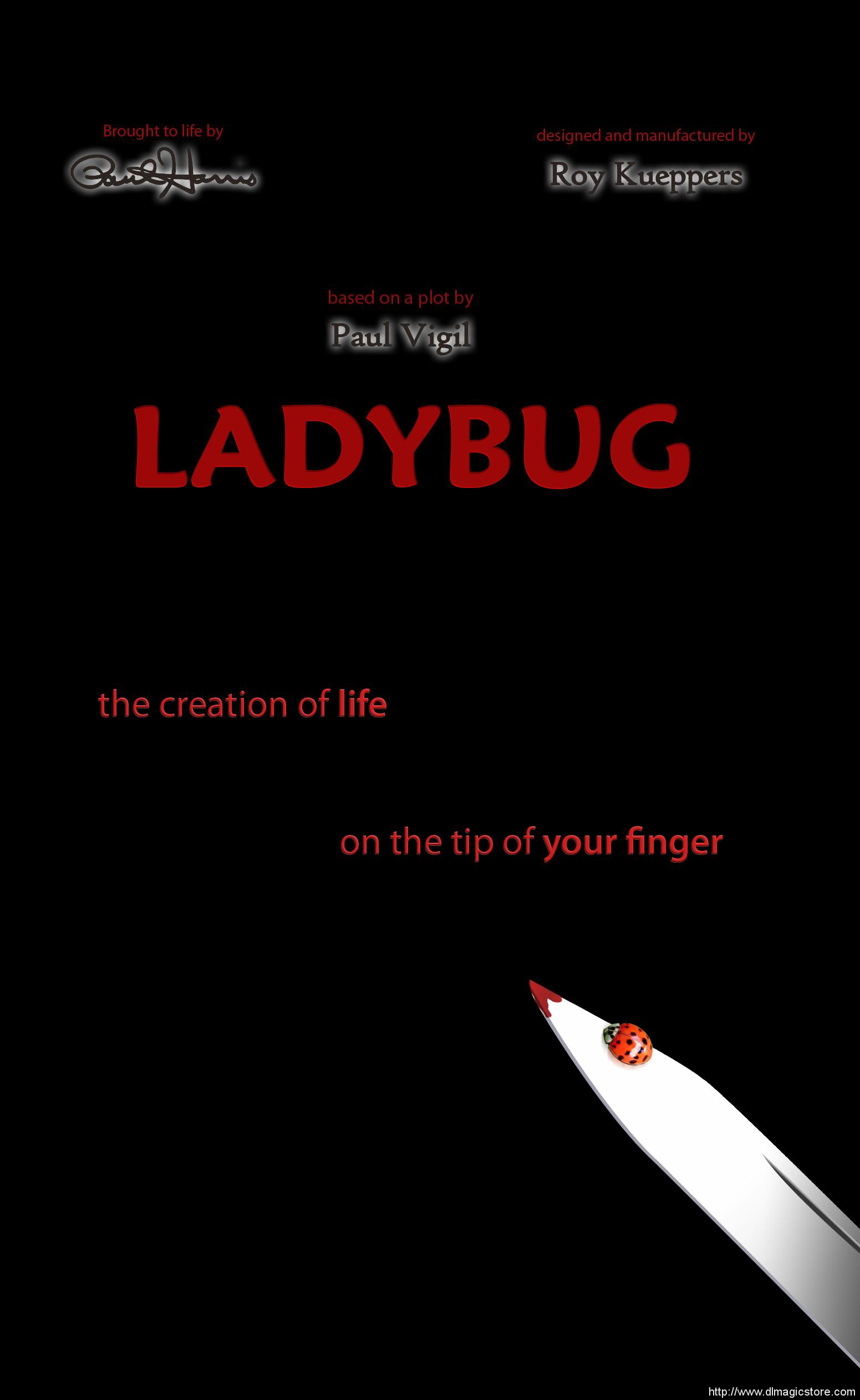 Ladybug by Paul Harris