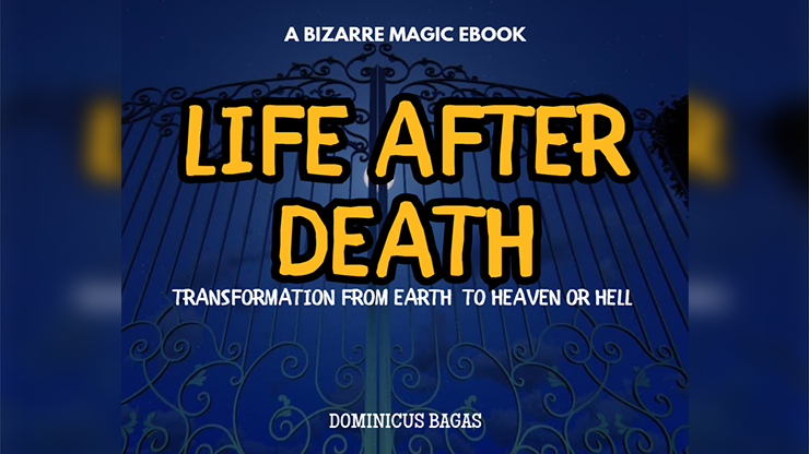 Life After Death by Dominicus Bagas