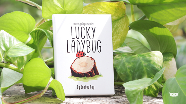 Lucky Ladybug by Deuce Gala and Joshua Ray (Online Instructions)