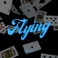 Magicat – Flying