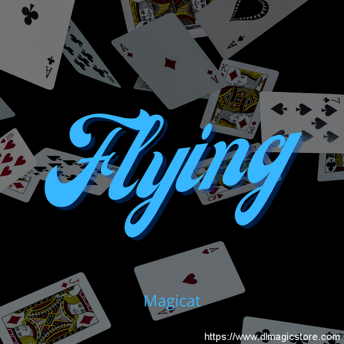 Magicat – Flying