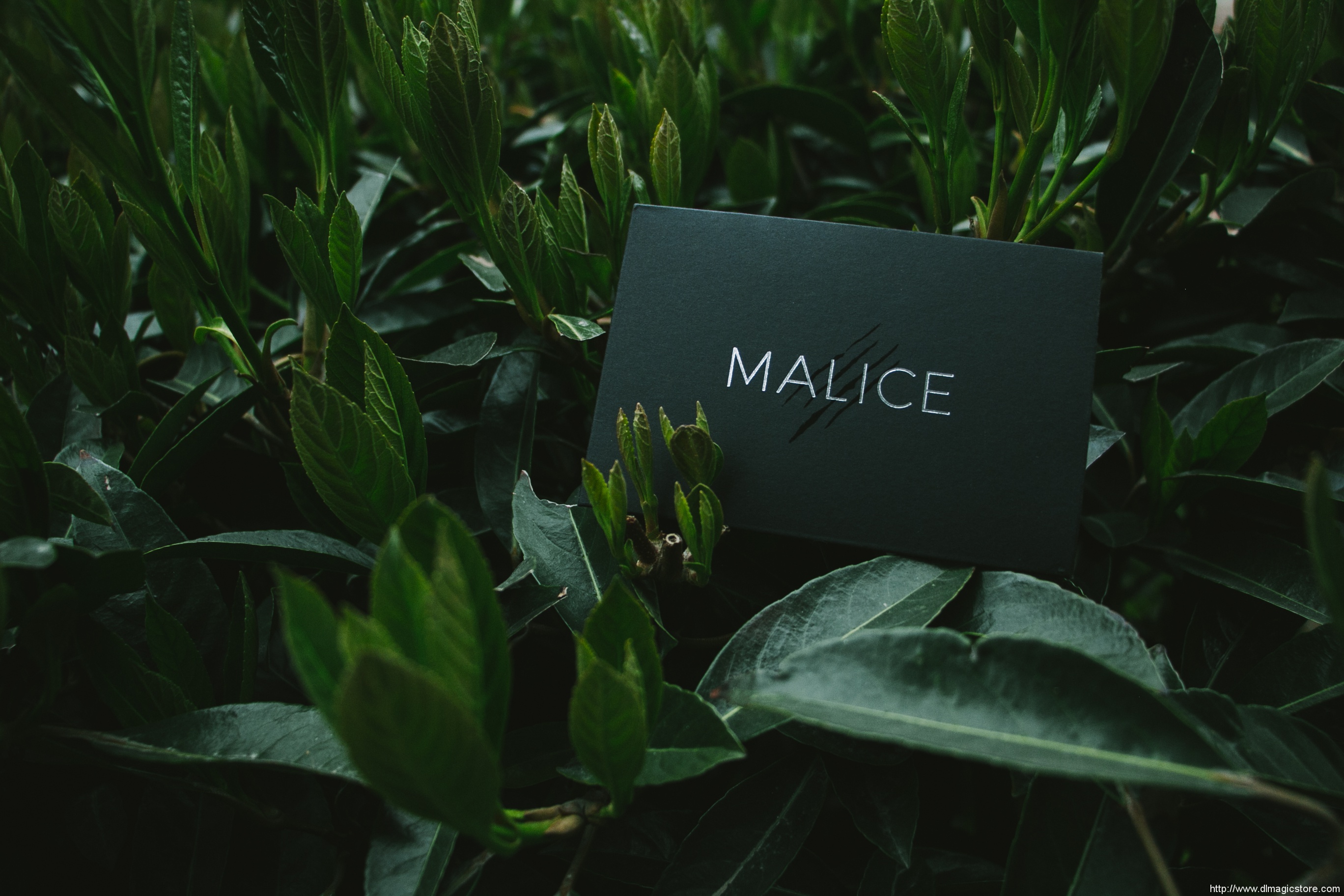 Malice by Lost Art Magic