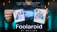 Mellow – Foolaroid (Gimmick Not Included)