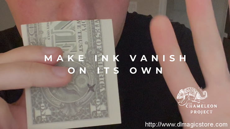 The Chameleon Project by Michael Shaw