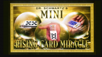 Mini Card Rise Miracle by Martin Schwartz
